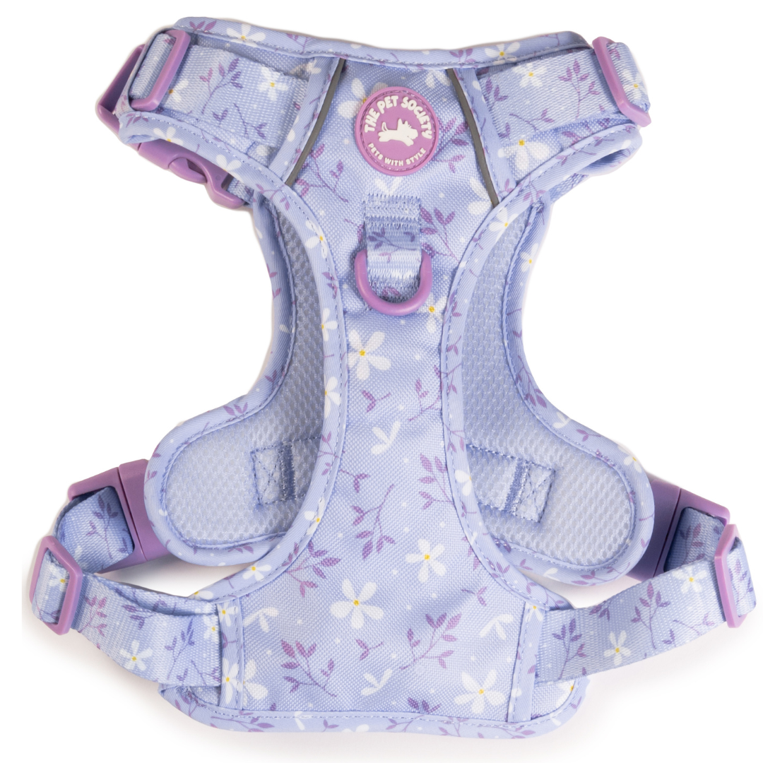 Arnés Premium Lila