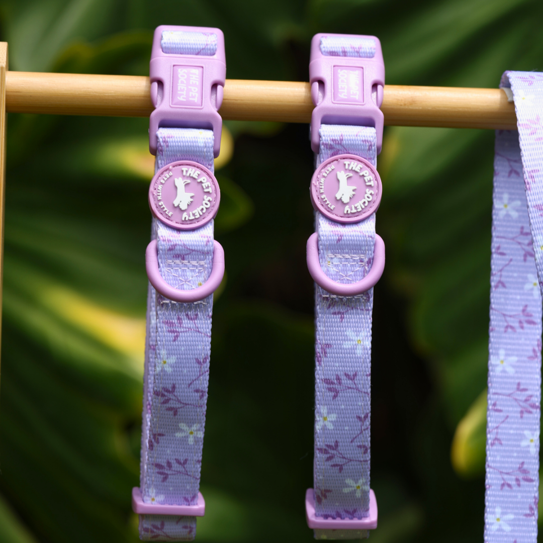 Collar Lila