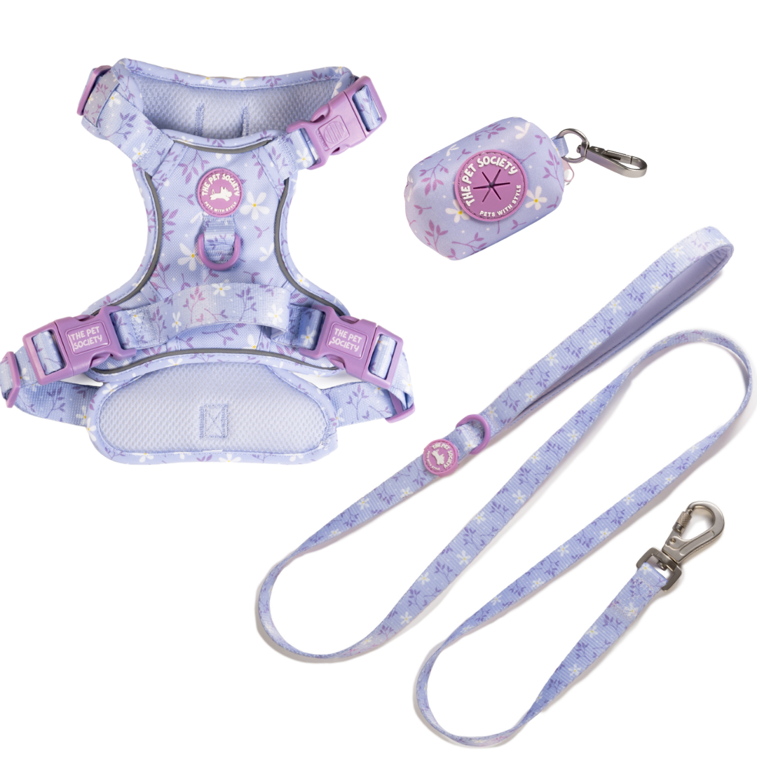 Pack Arnés Lila (Arnés + correa + Porta Bolsa)
