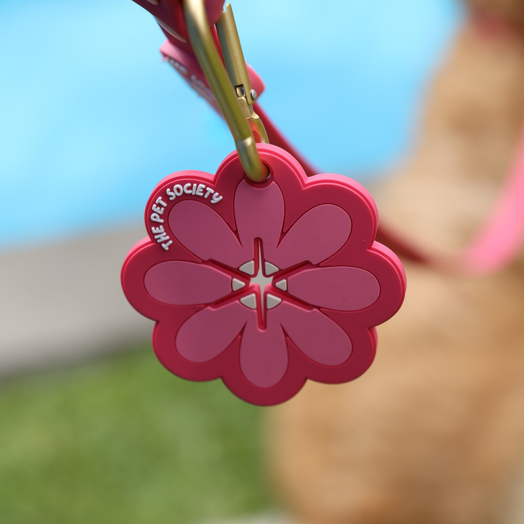 Soporte de bolsa Magenta