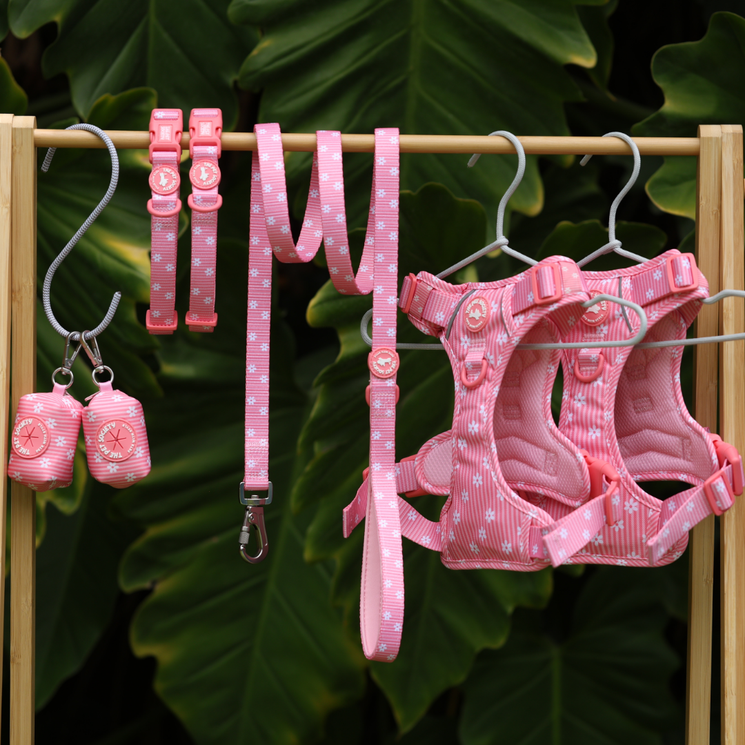Pack completo Flora + Porta Bolsas de REGALO