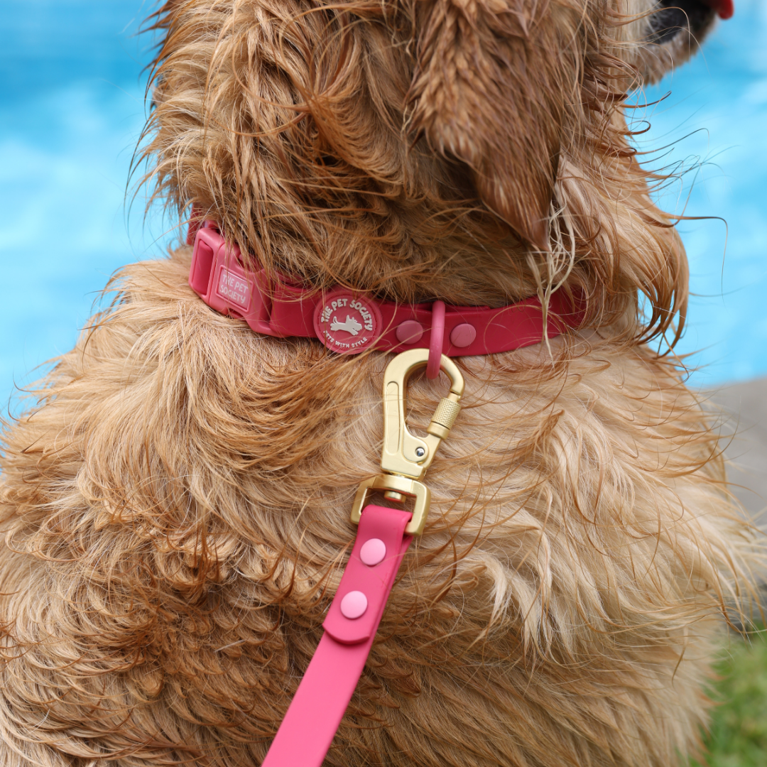 Correa Waterproof Magenta