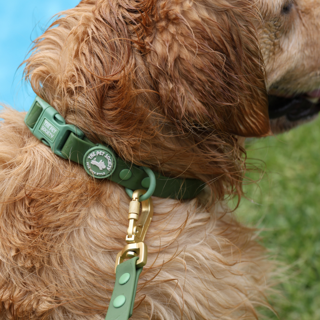 Pack Waterproof Forest