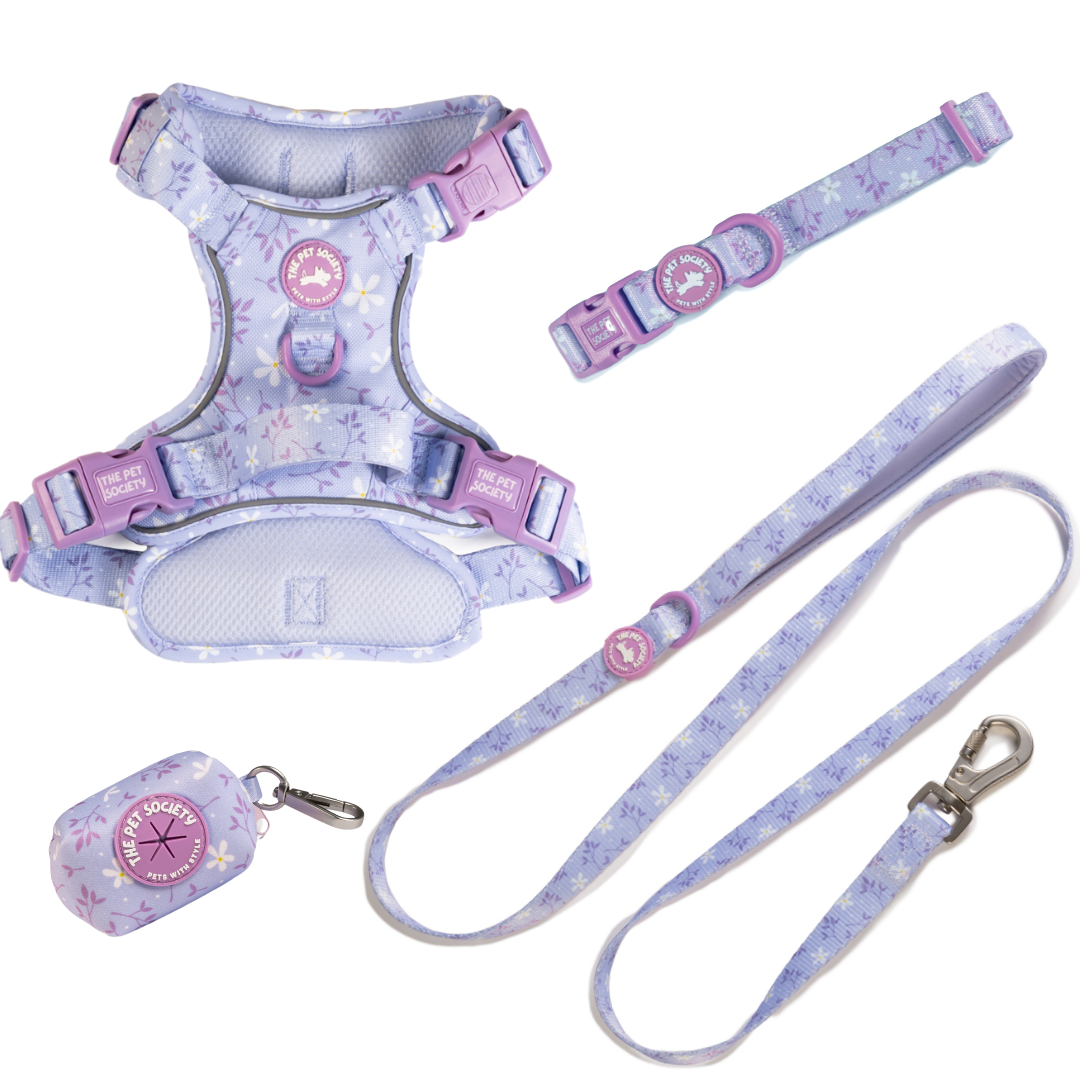 Pack Premium Lila (Arnés + collar + correa + Porta Bolsa)