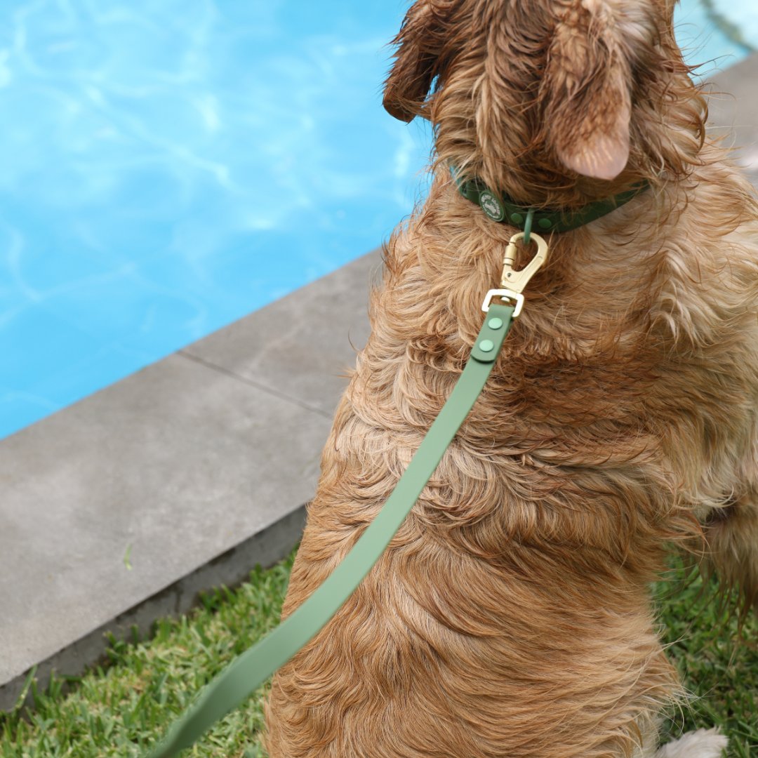 Correa Waterproof Forest