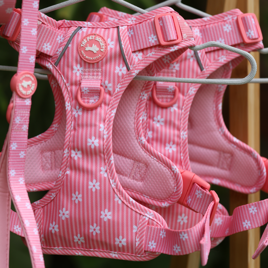 Pack completo Flora + Porta Bolsas de REGALO