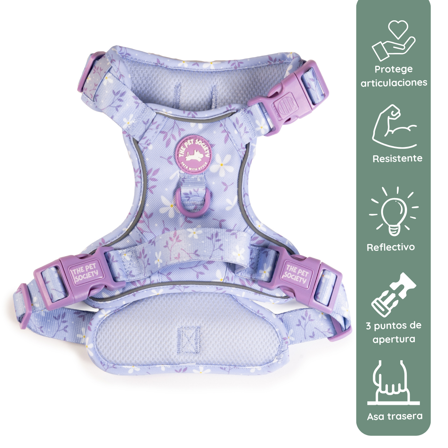 Pack Premium Lila (Arnés + collar + correa + Porta Bolsa)