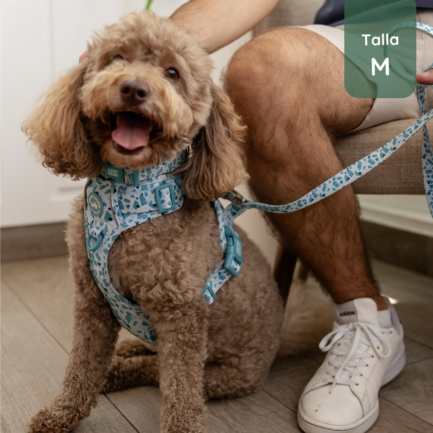 Pack Premium Mar (Arnés + collar + correa + Porta Bolsa)