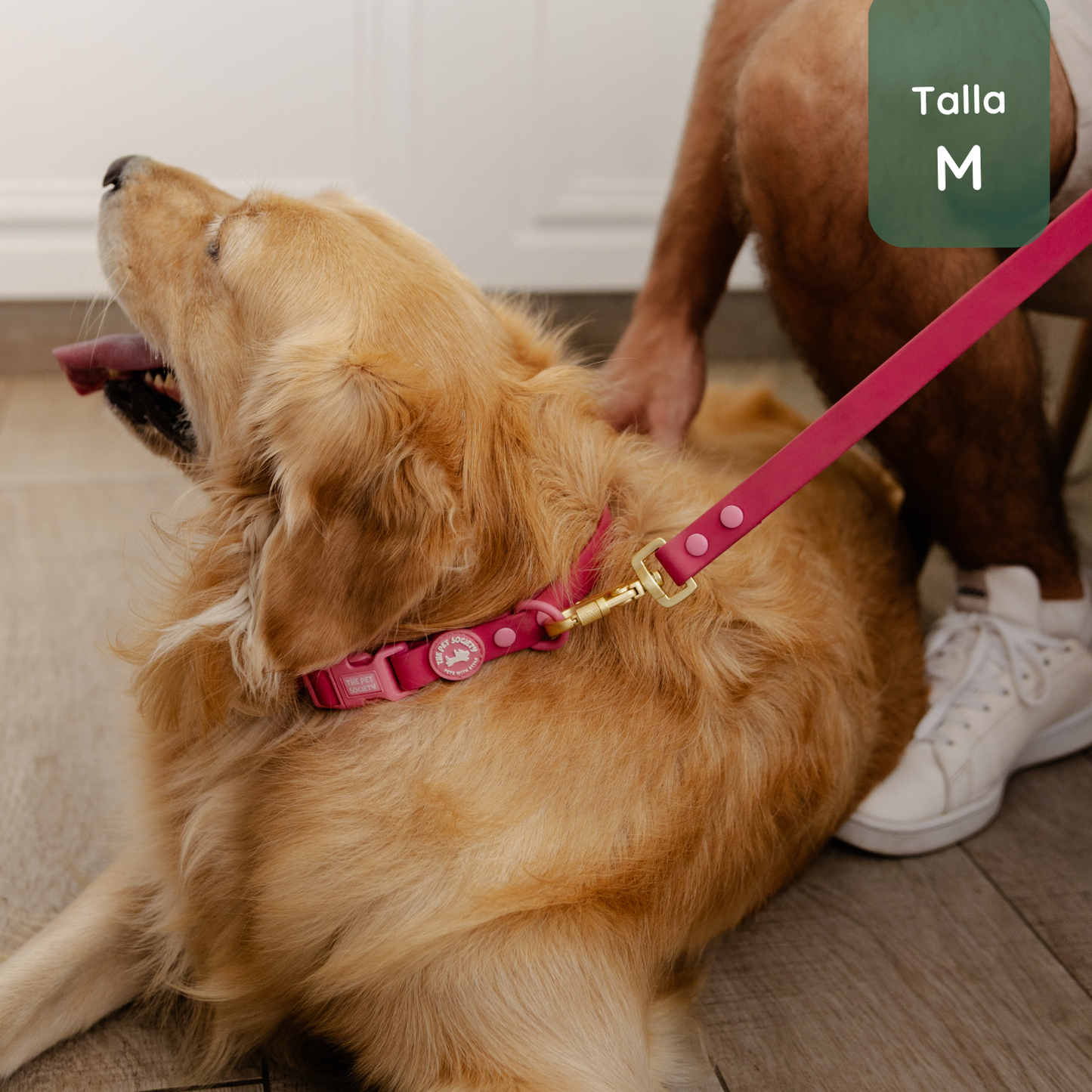 Pack Waterproof Magenta