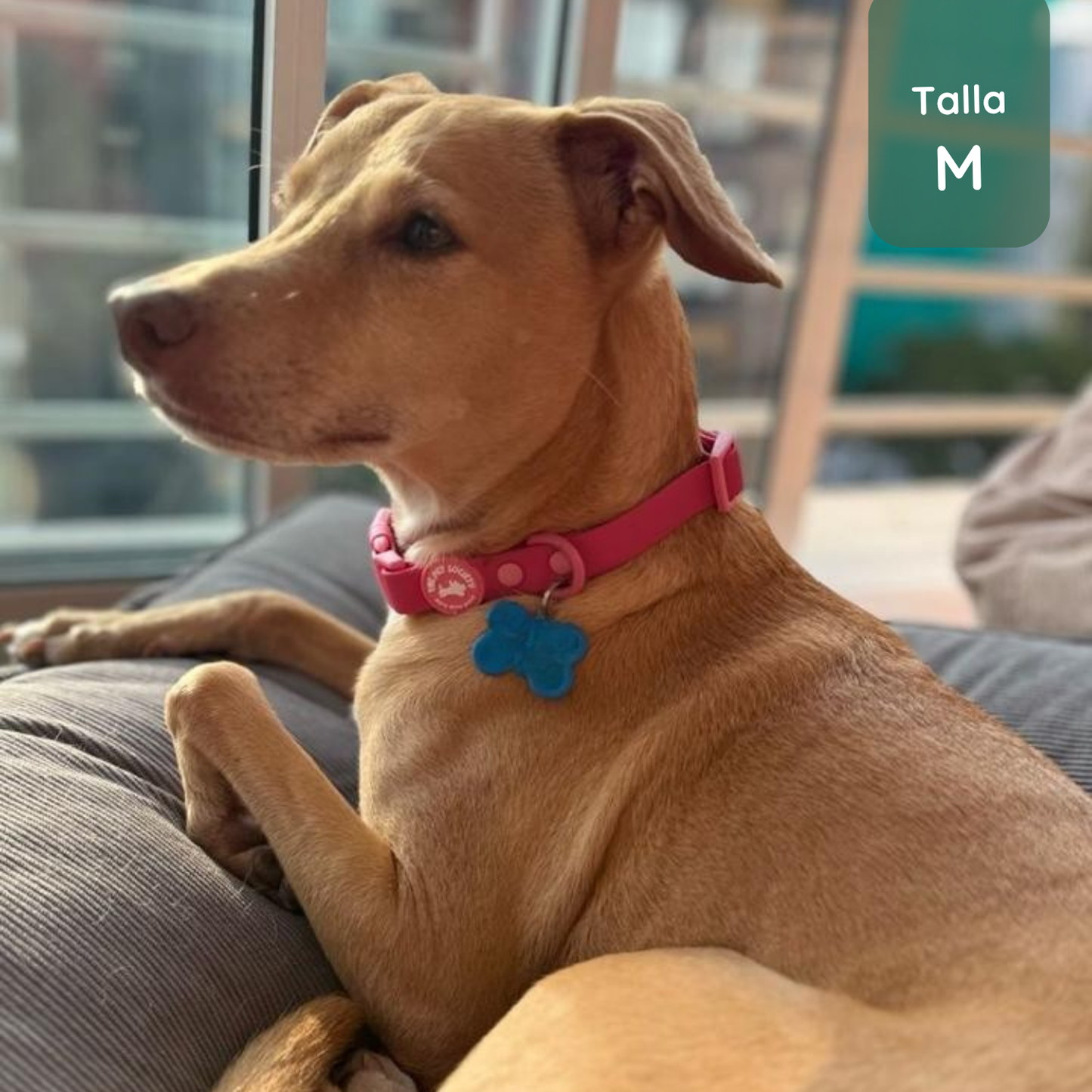 Pack Waterproof Magenta