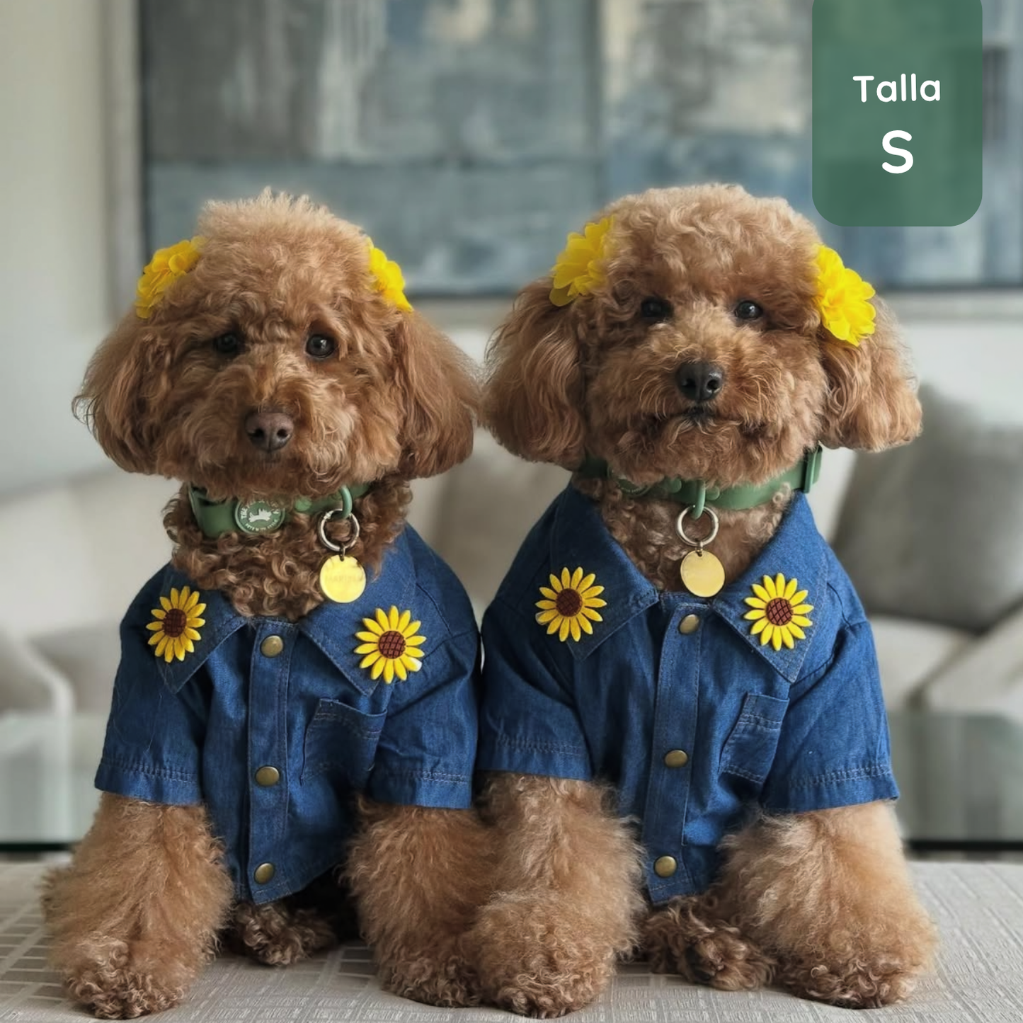 Pack Waterproof Forest