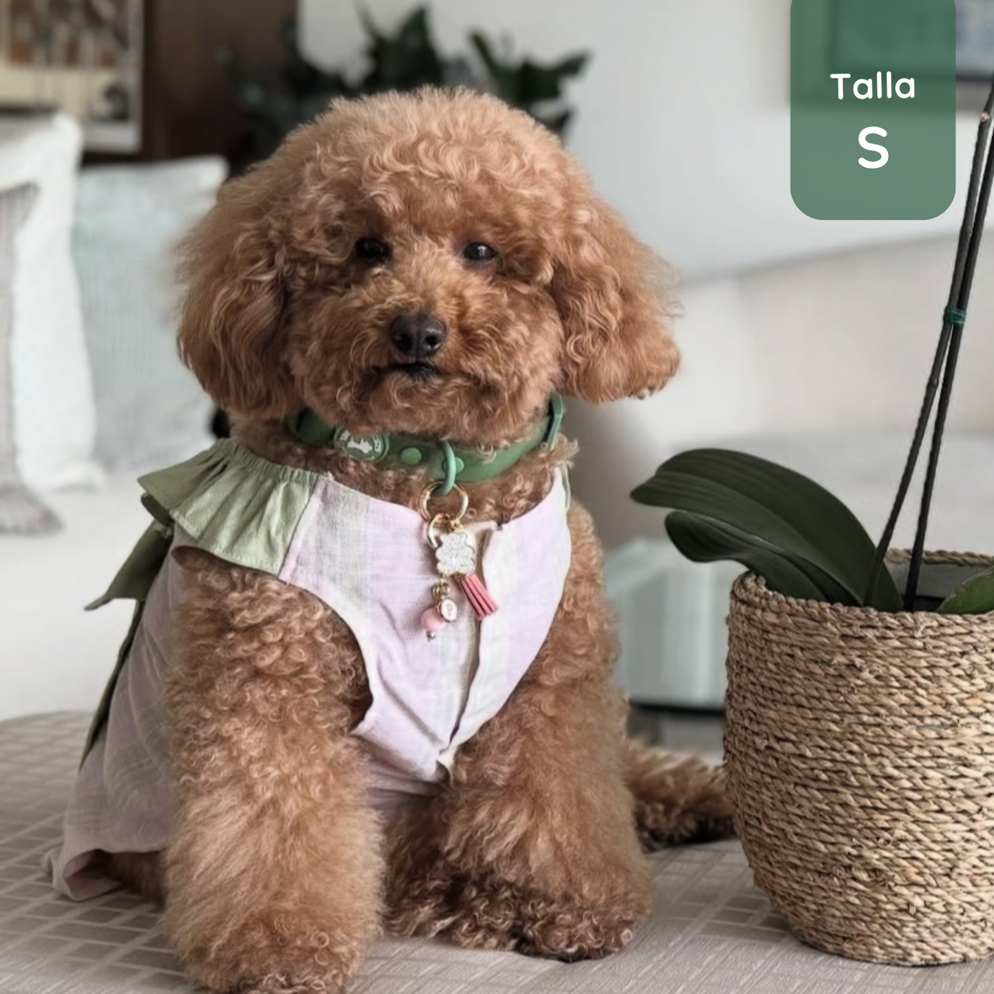 Pack Waterproof Forest