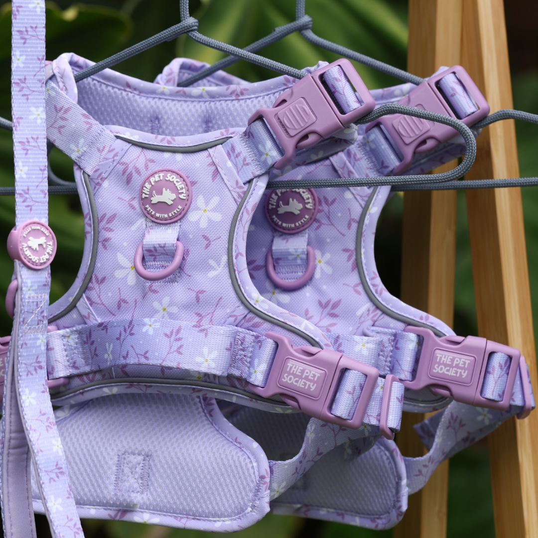 Pack Completo Lila + Porta Bolsas de REGALO