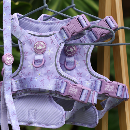 Pack Completo Lila + Porta Bolsas de REGALO