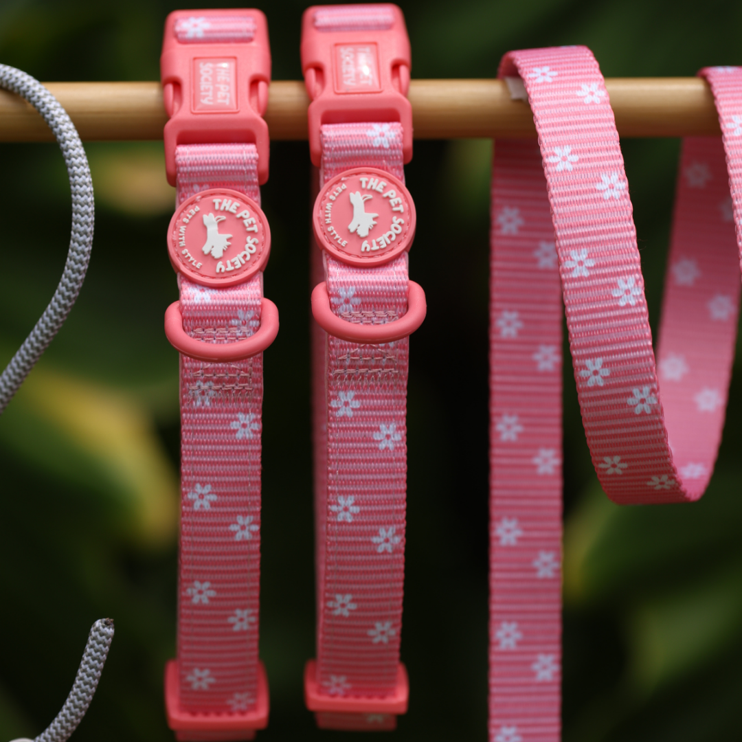 Collar Flora