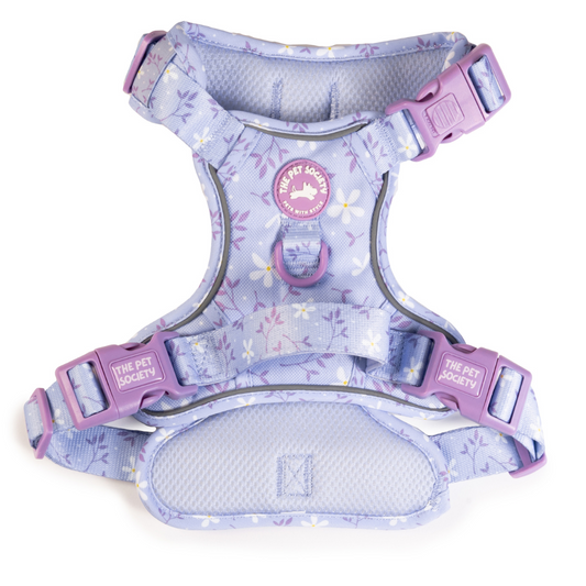 Arnés Premium Lila