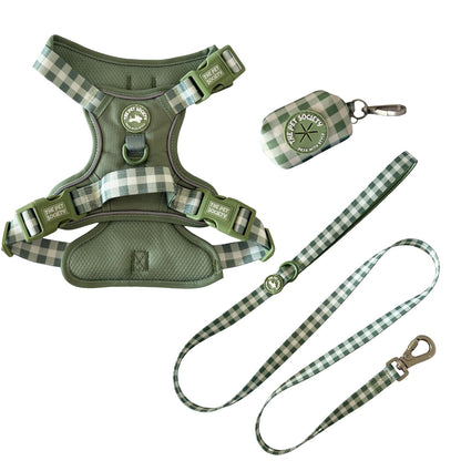 Pack Arnés Olivo (Arnés + correa + Porta Bolsa)