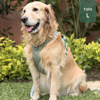 Pack Premium Olivo (Arnés + collar + correa + Porta Bolsa)