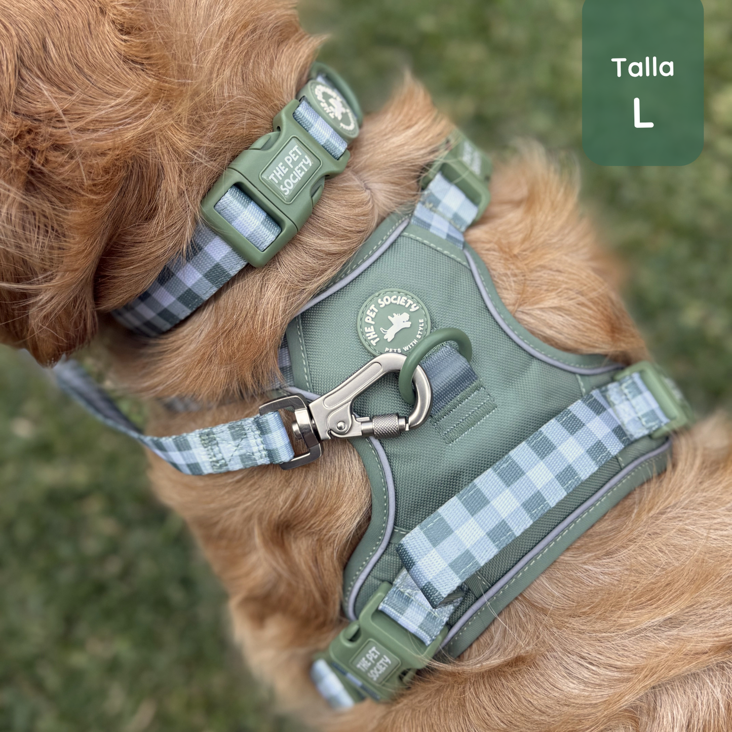 Pack Premium Olivo (Arnés + collar + correa + Porta Bolsa)