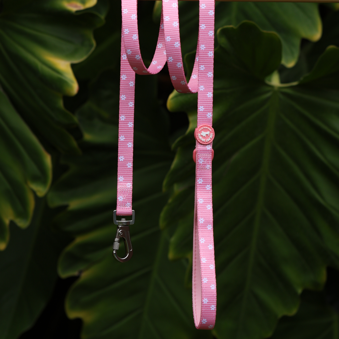 Pack completo Flora + Porta Bolsas de REGALO