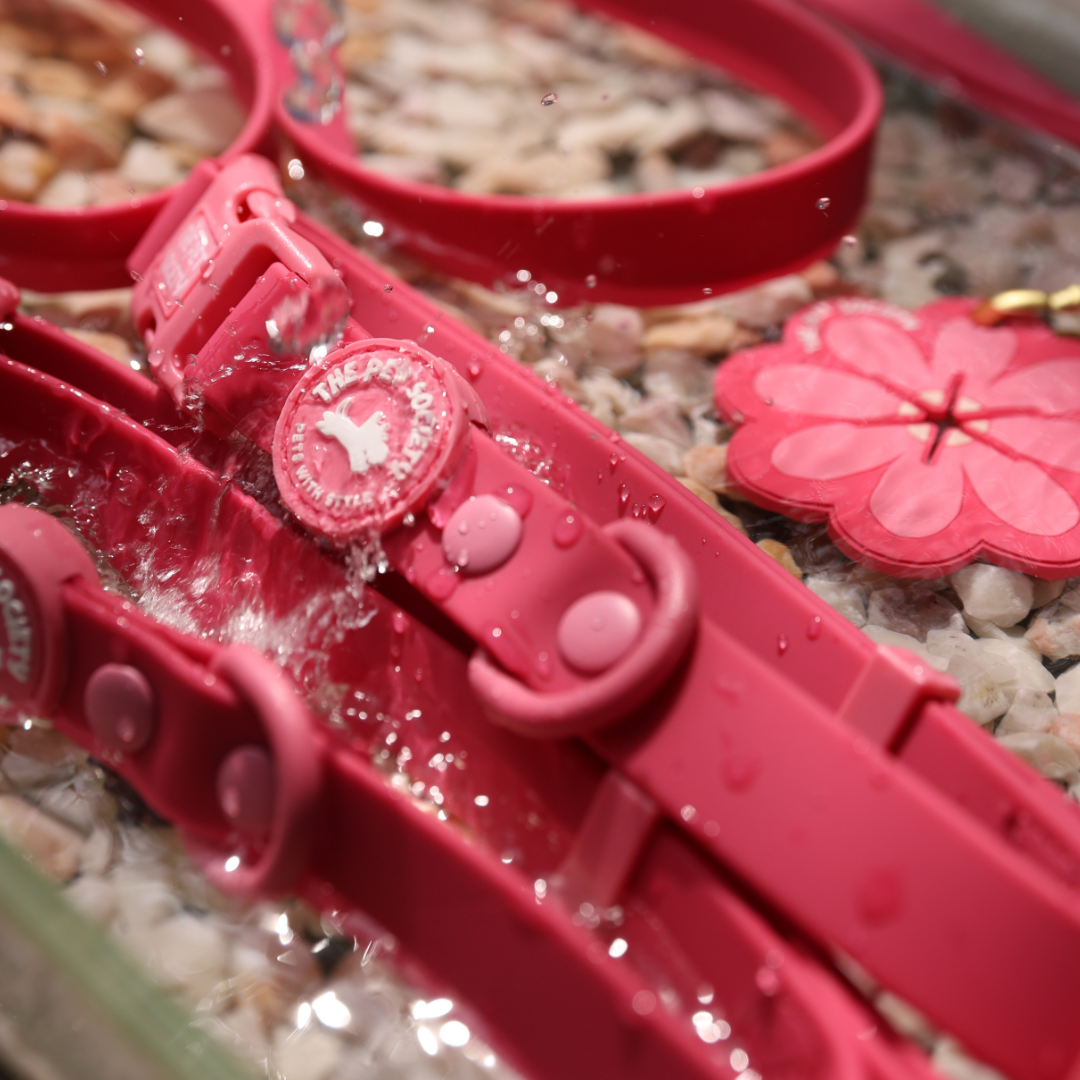 Pack Waterproof Magenta + Soporte Bolsa de REGALO