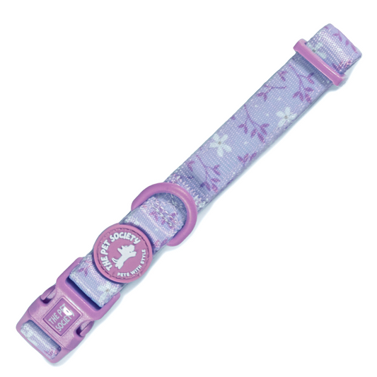 Collar Lila