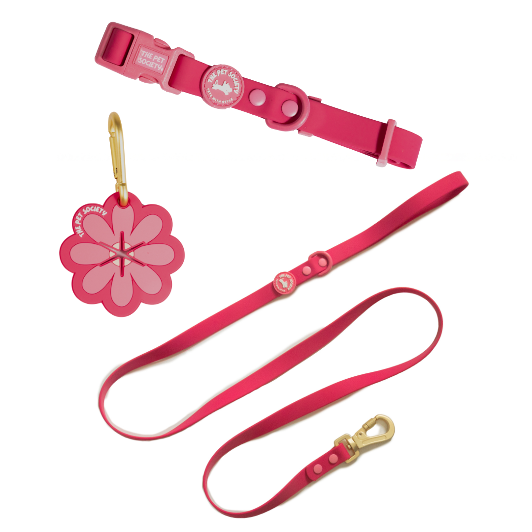 Pack Waterproof Magenta + Soporte Bolsa de REGALO