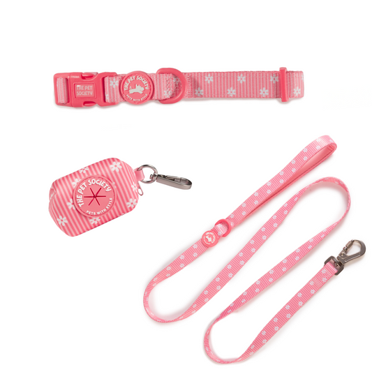 Pack Collar Flora (Collar + Correa + Porta Bolsa)