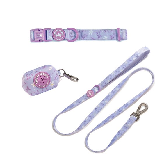 Pack Collar Lila (Collar + Correa + Porta Bolsa)