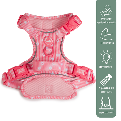Pack Arnés Flora (Arnés + correa + Porta Bolsa)