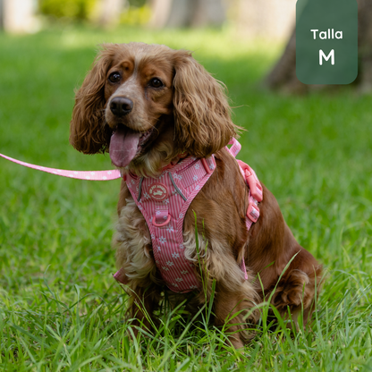 Pack Arnés Flora (Arnés + correa + Porta Bolsa)