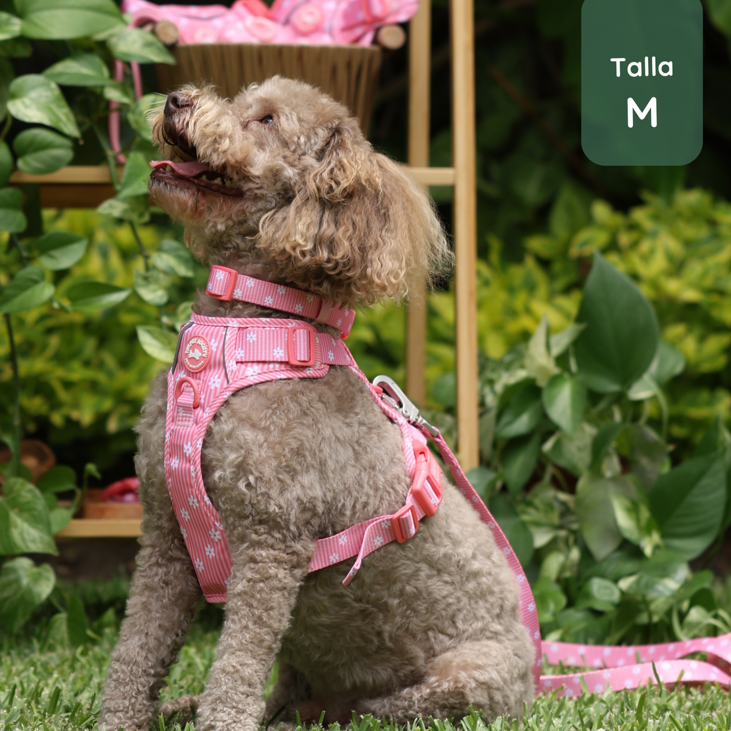 Pack Arnés Flora (Arnés + correa + Porta Bolsa)