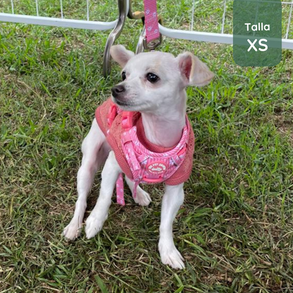 Pack Arnés Flora (Arnés + correa + Porta Bolsa)