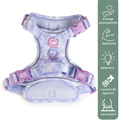 Pack Premium Lila (Arnés + collar + correa + Porta Bolsa)