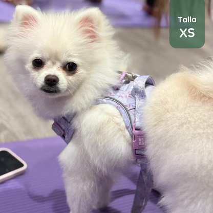 Pack Premium Lila (Arnés + collar + correa + Porta Bolsa)