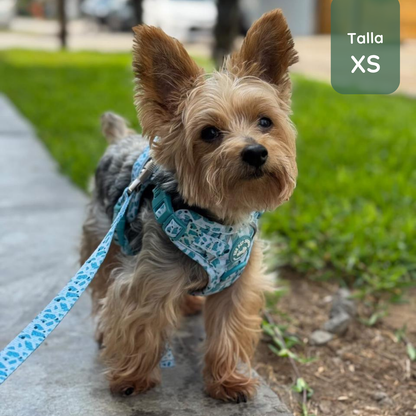 Pack Premium Mar (Arnés + collar + correa + Porta Bolsa)