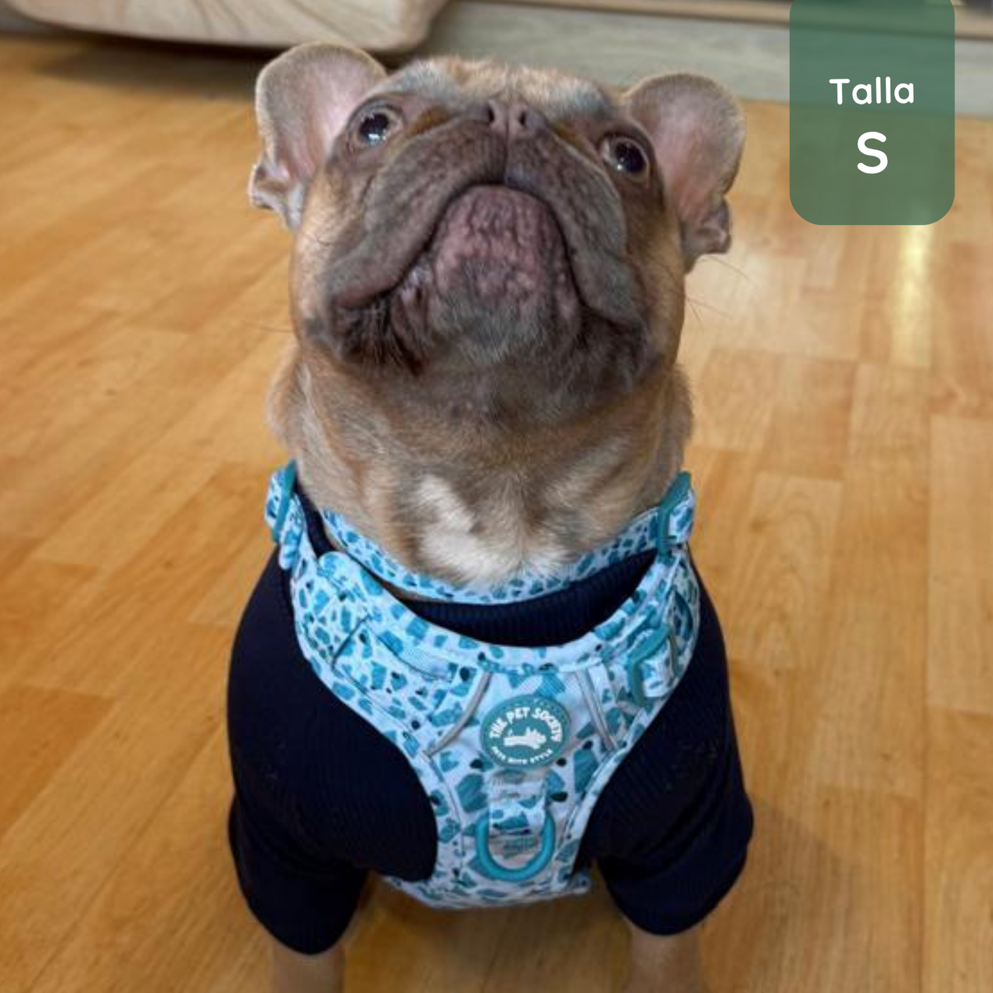 Pack Premium Mar (Arnés + collar + correa + Porta Bolsa)