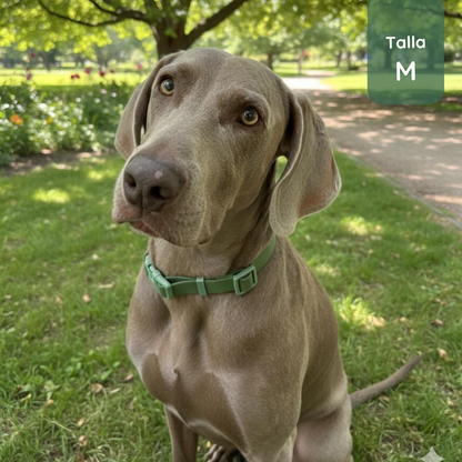 Pack Waterproof Forest