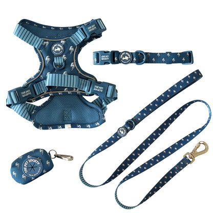Pack Premium Rayo (Arnés + collar + correa + Porta Bolsa)