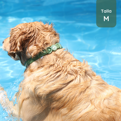 Pack Waterproof Forest