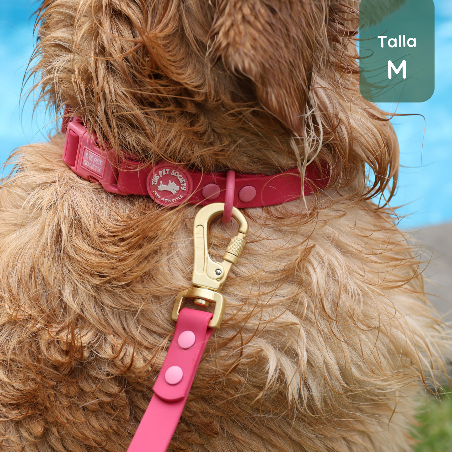 Pack Waterproof Magenta