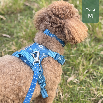 Collar Rayo